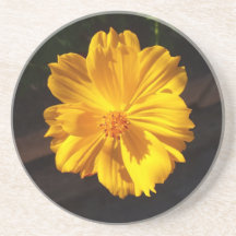 Fotografía de la macro Flor de Oro