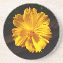 Posavasos Fotografía de la macro Flor de Oro