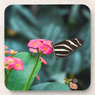 Posavasos Fotografía de Mariposa en Flor Rosa