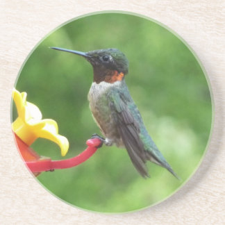 Posavasos Fotografía de pájaro húmedo con trompetas de rubí