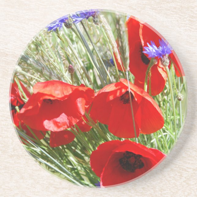 Posavasos Fotografía de Red Poppy, Cottage Garden (Frente)