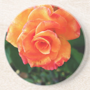 Posavasos Fotografía de rosa naranja vibrante