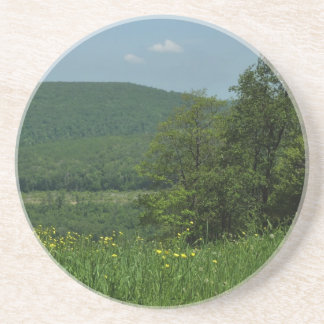 Posavasos Fotografía de verano de Laurel Highlands Pennsylva