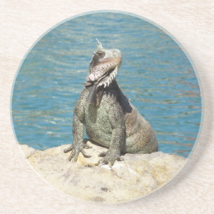 Posavasos Fotografía de vida salvaje tropical de Iguana