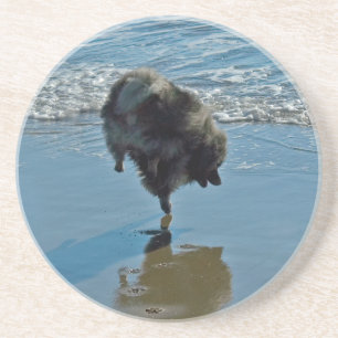 Posavasos Fotografía del Ballet Keeshond - Arte de Perro Ori