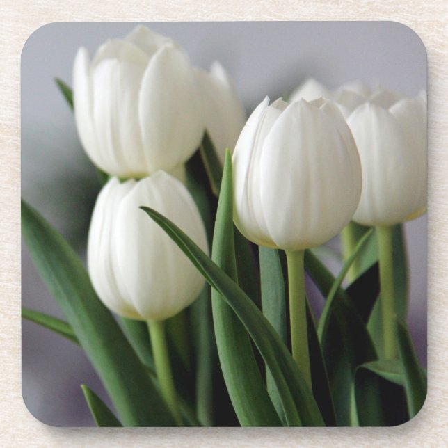 Posavasos Fotografía elegante de Tulipanes y Flores Florales (Frente)