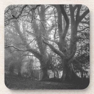 Posavasos Fotografía espeluznante en blanco y negro del bosq