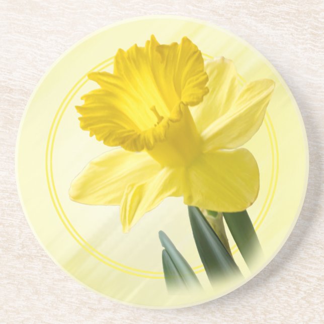Posavasos Fotografía floral Naturaleza daffodil amarilla (Frente)