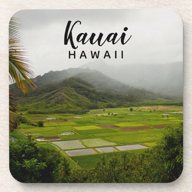 Posavasos Fotografía paisajística de Kauai Hawaii (Frente)