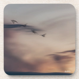 Posavasos fotos pájaros abstracta