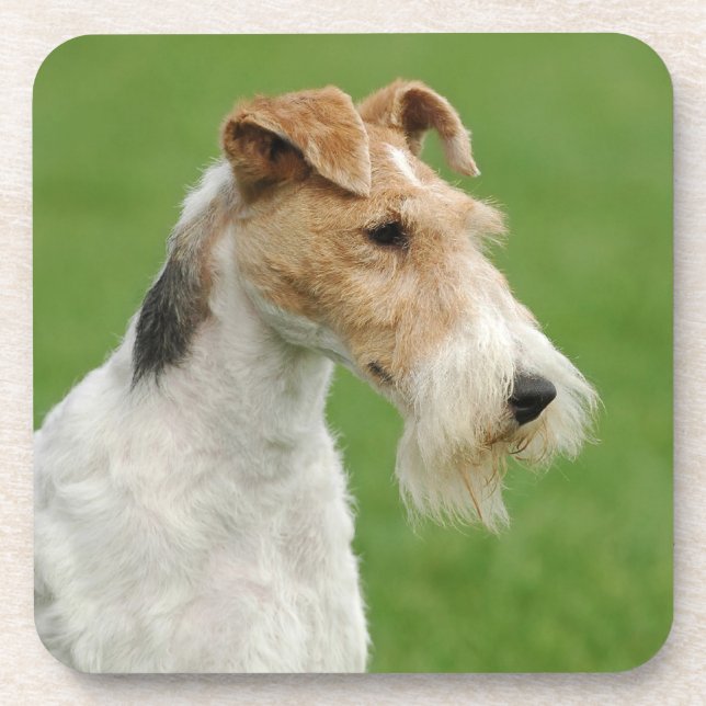 Posavasos Fox Terrier (Frente)
