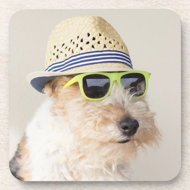 Posavasos Fox terrier (Frente)