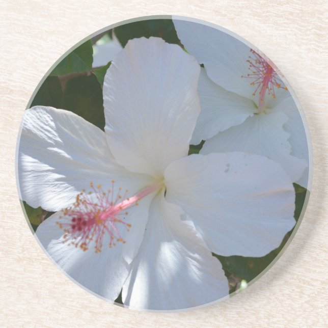 Posavasos Fragrancia floral Sandstone Coaster (Frente)