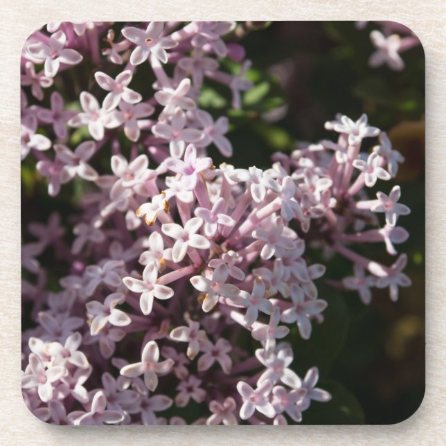 Posavasos Fragrant Lilac (Frente)
