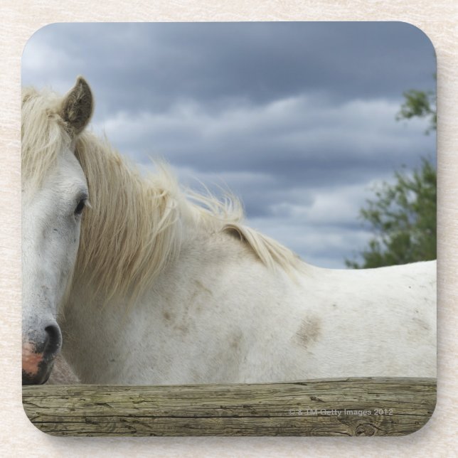 Posavasos Francia (Frente)