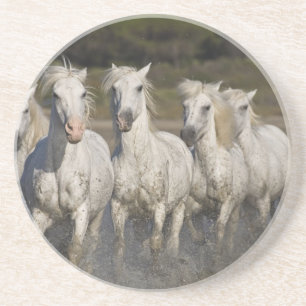 Posavasos Francia, Camargue. Caballos corren