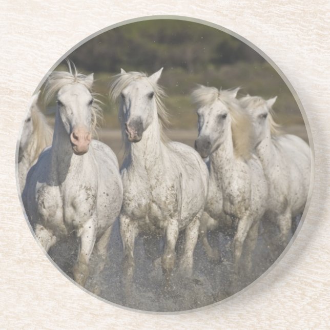 Posavasos Francia, Camargue. Caballos corren (Frente)