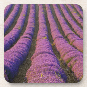 Posavasos Francia, región de Provenza. Filas ordenadas de