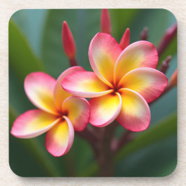 Posavasos Frangipani Dwari Tri Color Delight