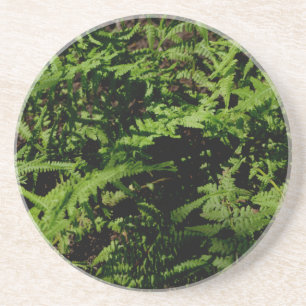 Posavasos Frenos de suelo forestal verde botánico
