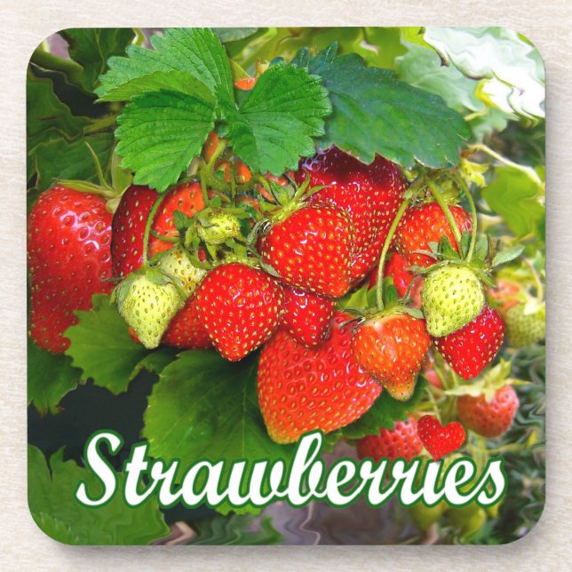 Posavasos Fresas de verano ~ Conjunto de escayas de corcho # (Frente)