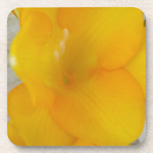 Posavasos Fresia amarillo