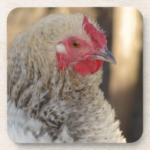 Posavasos Frizzle Rooster