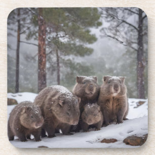 Posavasos Frozen Burrow: Familia Wombat australiana