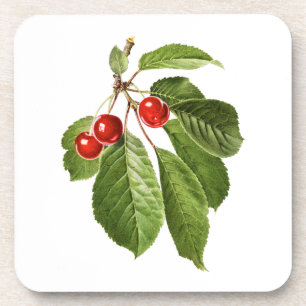 Posavasos Frutas: A015 Cherry -