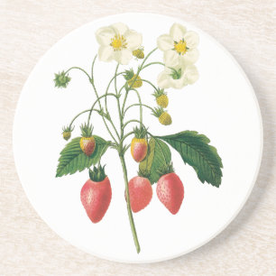 Posavasos Frutas vintage bayas alimentos fresas por Redoute