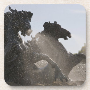 Posavasos Fuente, Monumento a los Girondinos, Burdeos,