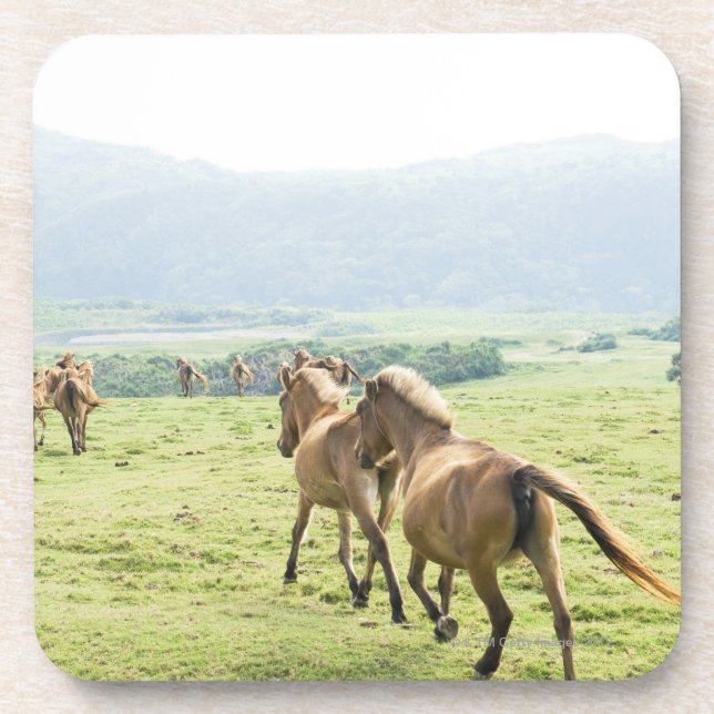 Posavasos Funcionamiento de los caballos (Frente)