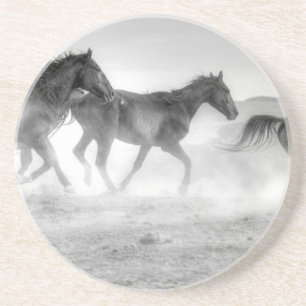 Posavasos Funcionamiento del mustango