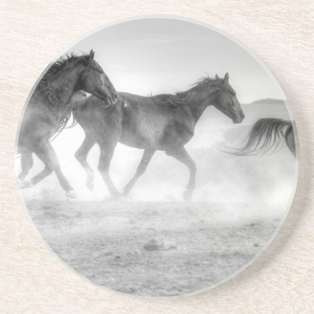 Posavasos Funcionamiento del mustango (Frente)