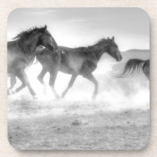 Posavasos Funcionamiento del mustango