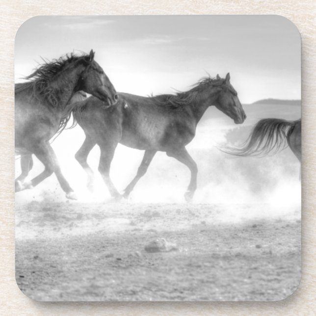 Posavasos Funcionamiento del mustango (Frente)