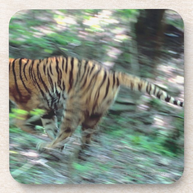 Posavasos Funcionamiento del tigre (Frente)