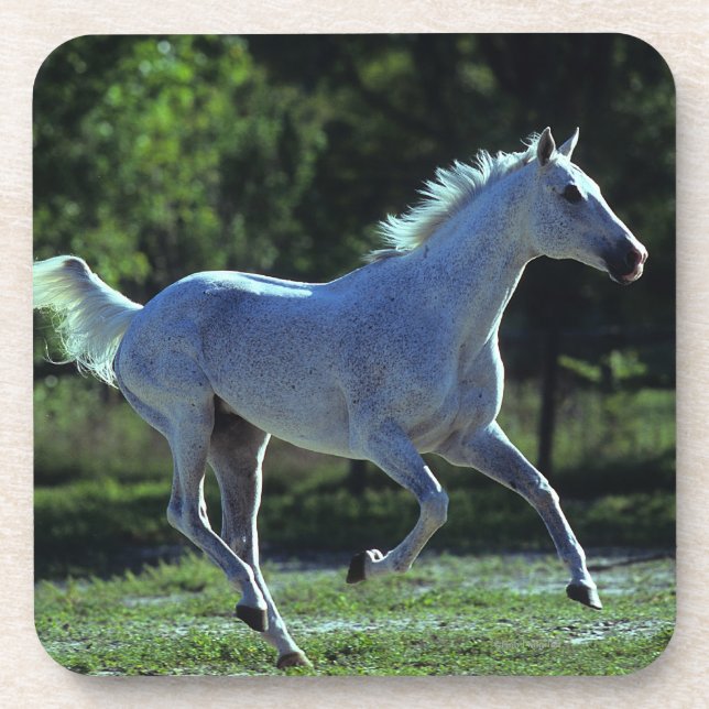 Posavasos Funcionamiento excelente del semental (Frente)