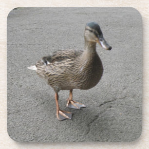 Posavasos Funny Waddling Duck Cork Coaster