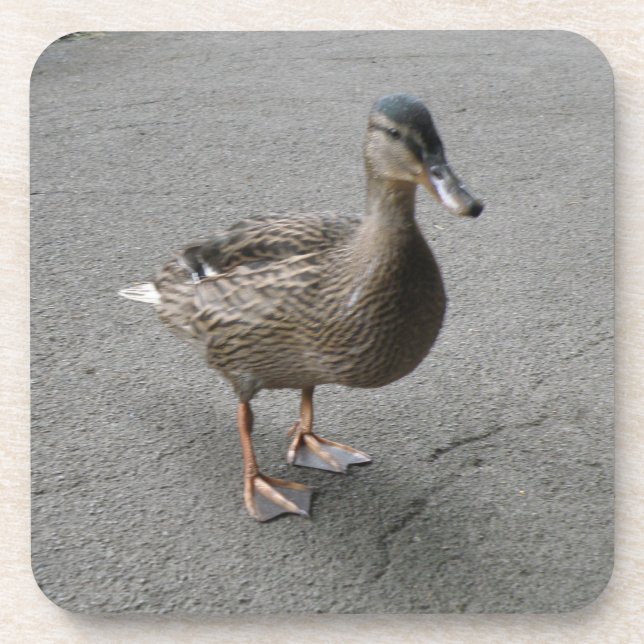 Posavasos Funny Waddling Duck Cork Coaster (Frente)