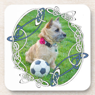 Posavasos Fútbol de Terrier Cairn