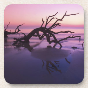 Posavasos GA Isla Jekyll, cementerio de árboles en la playa
