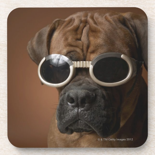 Posavasos Gafas de sol que llevan del perro (Frente)