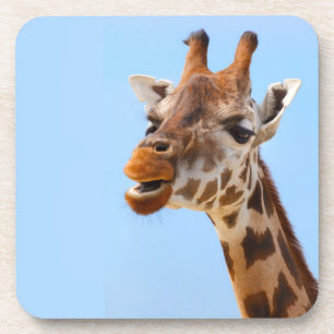 Posavasos Galaxias de Giraffe Portraasters