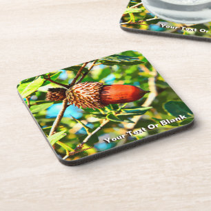 Posavasos Galilee Acorn