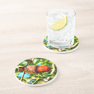 Posavasos Galilee Acorn