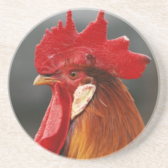 Posavasos Gallo Doméstico de Granja (Frente)