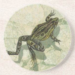 Posavasos Ganar toad en el agua