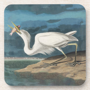 Posavasos Garza Blanca Grande de Audubon: Ave Costera Vintag