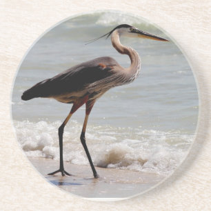 Posavasos Garza de gran azul en la playa